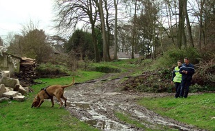 FRANCE, Ribécourt-Dreslincourt : This handout photograph released by the French Gendarmerie of Compeigne shows gendarmes using a Saint-Hubert dog to search for missing teen Bruno Dovergne on December 26, 2012 near Ribecourt-Dreslincourt one week after the Down Syndrome affected 17 year old disappeared from the Compiegne region. ---EDITORS NOTE---HANDOUT RESTRICTED TO EDITORIAL USE - MANDATORY CREDIT "AFP PHOTO / Gendarmerie de Compiegne " - NO MARKETING NO ADVERTISING CAMPAIGNS - DISTRIBUTED AS A SERVICE TO CLIENTS - AFP PHOTO / Gendarmerie de Compiegne