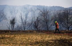 Après l’incendie dans l’Aude, un chantier de plusieurs années pour l’ONF