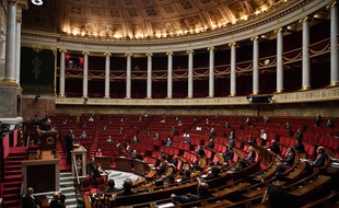 Illustration de l'Assemblée nationale 28 avril 2020.