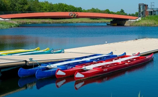 Des bateaux pour pratiquer l'aviron.