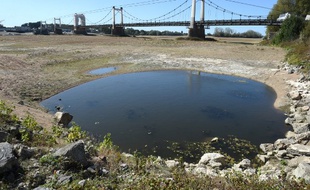 Une petite mare d'eau sur le lit de la Loire asséchée à Montjean-sur-Loire, dans l'ouest de la France, le 20 septembre 2019.