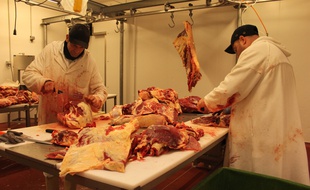 La découpe de la viande à l'abattoir d'Autun, le 7 mars 2016.