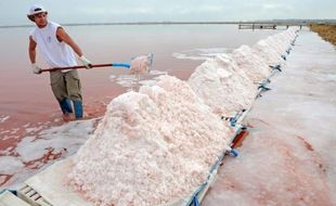 Les Salins du Midi, groupe historique du sel français qui détient notamment la marque La Baleine, ont été mis en vente par leurs propriétaires, rapportent Les Echos mercredi.