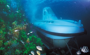 Le projet de sous-marin électrique.