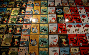Des albums de Tintin.