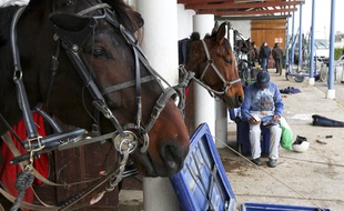 Toulouse, le 21 janvier 2013. L'hippodrome de la Cépière un jour de course.