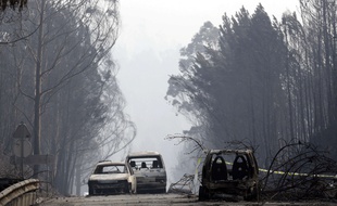 Le gigantesque feu de forêt qui a fait rage le 17 juin 2017 dans la région de Leiria, dans le centre du Portugal a fait au moins 62 morts.