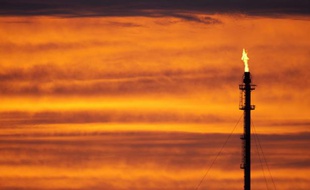 Les stocks de pétrole ont atteint un niveau record au sein des pays de l'Organisation de coopération et de développement économiques (OCDE)