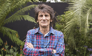 Le rockeur Ronnie Wood