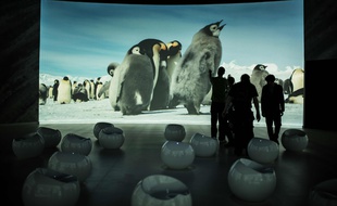 L'exposition Antarctica de Luc Jacquet présente les photos de Laurent Ballesta et Vincent Munier
AFP PHOTO : JEFF PACHOUD.