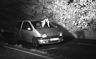 Un automobiliste allemand a été flashé en même temps qu'une colombe, à Viersen.
