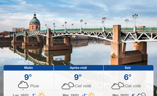 Météo Toulouse: Prévisions du dimanche 17 janvier 2021