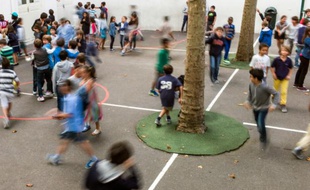 Le directeur d'une école élémentaire de Cadaujac (Gironde) a été suspendu après la découverte de milliers d'images pédo-pornographiques sur son ordinateur personnel