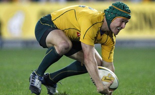 L'ouvreur australien Matt Giteau, le 19 juin 2010 à Sydney face à l'Angleterre