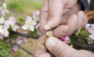 Vers une agriculture raisonnée et respectueuse de la biodiversité.