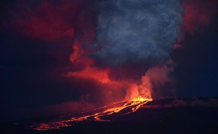 Le volcan Wolf est entré en éruption sur l'île Isabela.