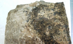 La plaque en argile découvert par les archéologues. Une tablette antique gravée de 13 vers d'une rhapsodie de l'Odyssée -- qui pourrait être l'une des plus anciennes traces écrites du récit homérique-- a été découverte à Olympie.