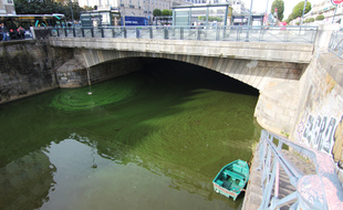 Illustration de la Vilaine prenant des teintes vertes en raison d'une forte concentration en cyanobactéries. Ici à Rennes.