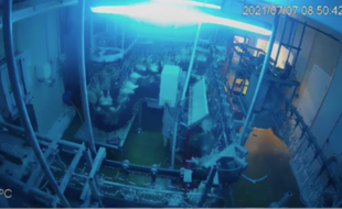 Images de vidéosurveillance dans un abattoir normand, Brut.