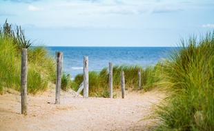 La victime aurait été violée sur une plage peu après six heures (illustration).