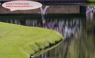 Sergio Garcia is fail