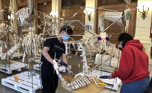 Des étudiants de l’EPSAA, l’école de communication visuelle de la Ville de Paris, fabriquent des animaux mutants à partir de palettes de marché.