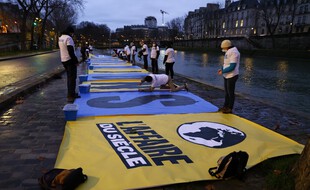 Lors d'une manifestation à Paris, en janvier, le jour de l'audience de l'Affaire du siècle, justement.
