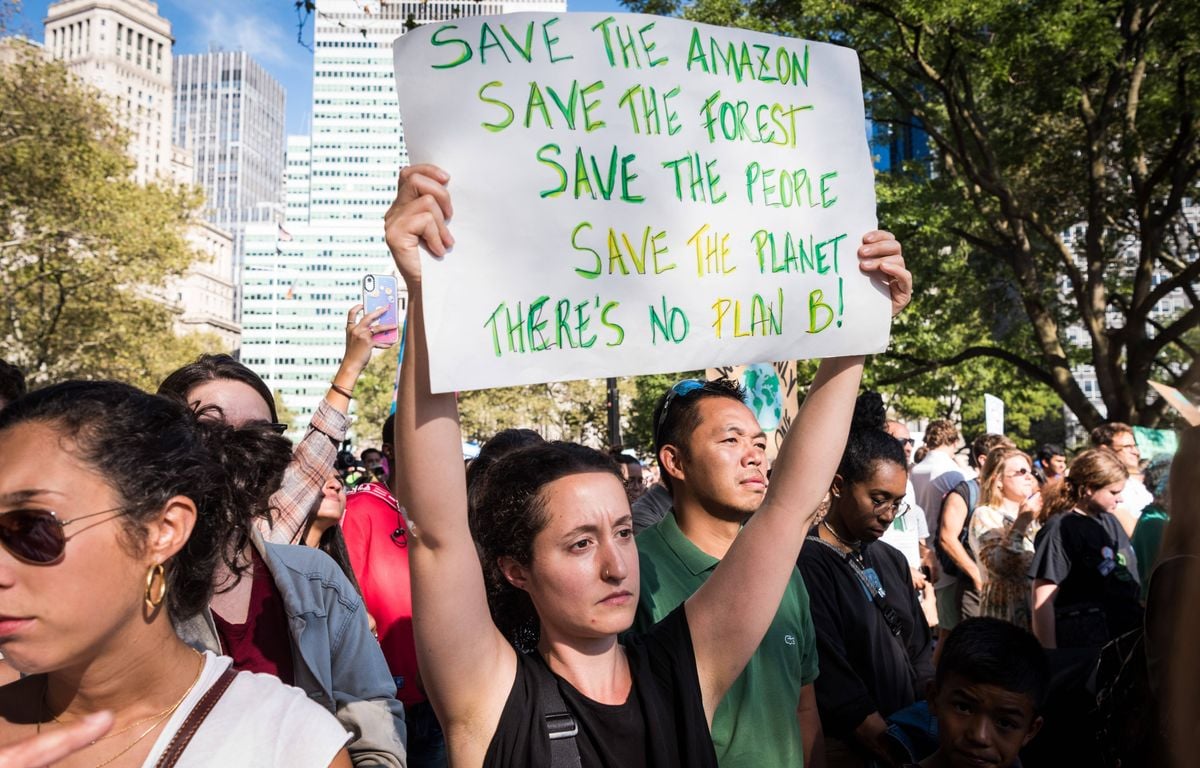 COP 30 : Dans quel état se trouve l'Amazonie alors que les dirigeants se rassemblent au Brésil pour parler climat ?