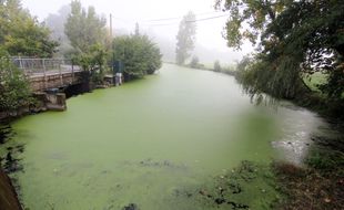 La rivière la Seiche, ici à Janzé (Ille-et-Vilaine), le 20 septembre 2017, soit un mois après la pollution de Lactalis.