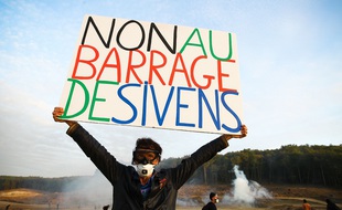 Lors d'une manifestation contre le barrage de Sivens, dans le Tarn.