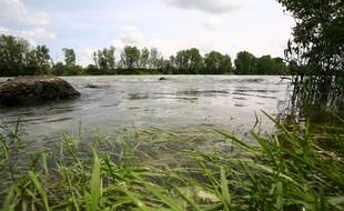 Toulouse le 18052008

Garonne nature vegetation espaces verts debit.