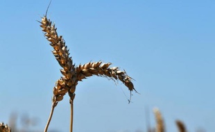 Si l'agriculture reste un monde conservateur, marqué de l'empreinte catholique, les changements sont en route