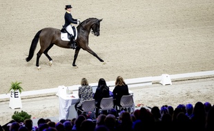Un cavalier lors d'une étape de la Coupe du monde de dressage en janvier 2020.