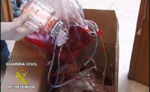 José Luis Merino, responsable d'un laboratoire d'analyses impliqué dans un scandale de dopage en Espagne, est sorti de prison dans la nuit de vendredi à samedi après avoir versé une caution de 120.000 euros fixée par un juge pour sa libération, selon des sources judiciaires.