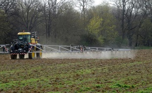 Les pesticides, qui polluent sols, rivières et nappes phréatiques, sont aussi présents toute l'année dans l'air ambiant, à la campagne et en ville, comme le montre une étude menée en Ile-de-France