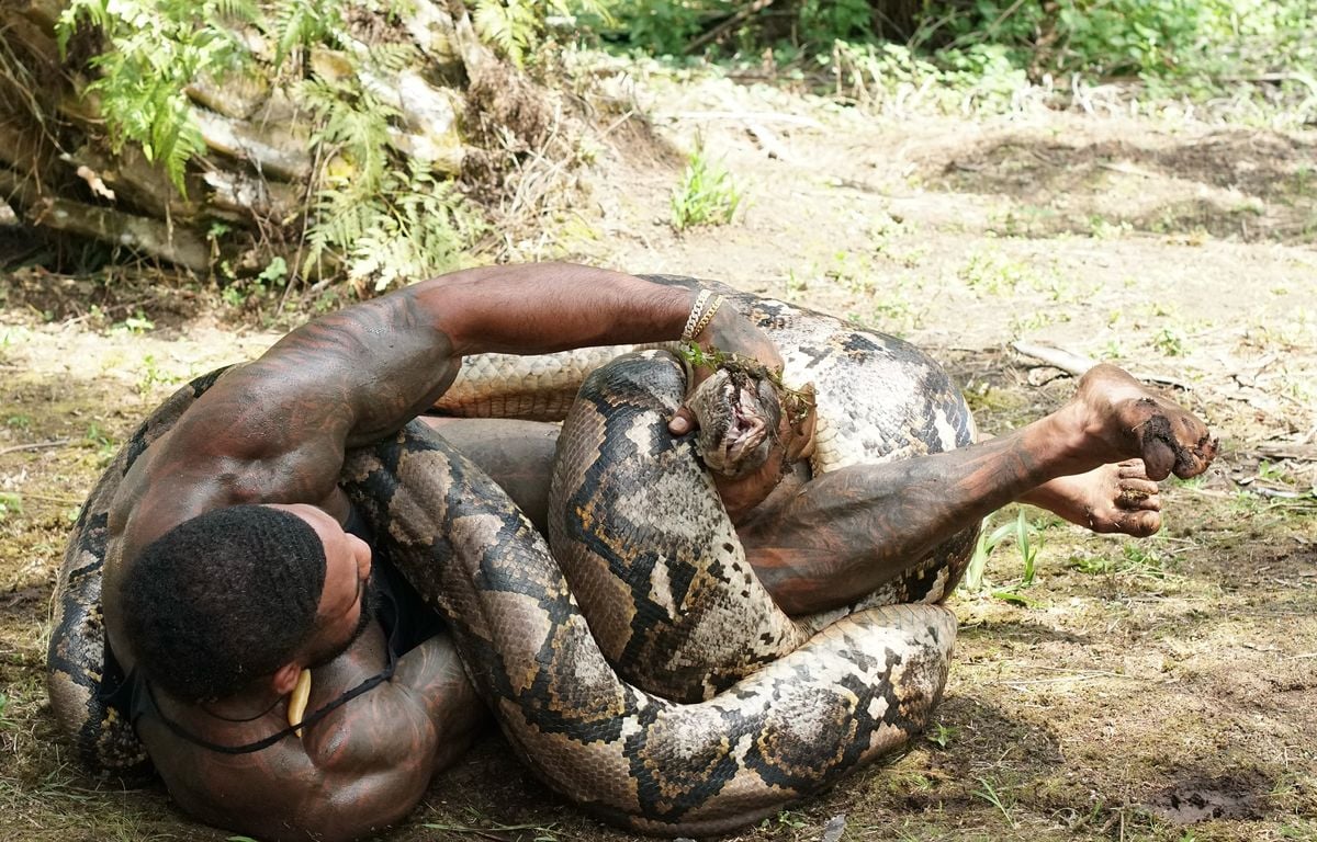 « The Real Tarzann », l'influenceur qui saute sur des crocos et se met l'Australie à dos