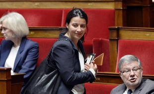 Cécile Duflot le 6 mai 2014 à l'Assemblée nationale à Paris