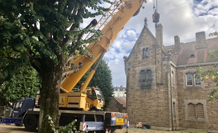 Le chantier a démarré au musée Dobrée à Nantes, le 28 septembre 2021