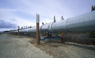L'oléoduc Trans-Alaska à Paxson.