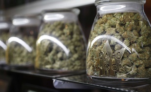 Des pots de marijuana chez un vendeur spécialisé de l'état du Colorado aux Etats-Unis