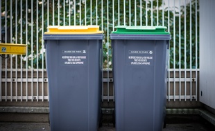 Des poubelles, jaune et verte, de la Mairie de Paris, le 22 février 2019, à Paris (12e).