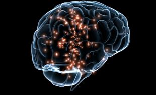 Illustration d'activité neuronale dans le cerveau.