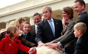 Le président américain George W. Bush, entouré d'enfants et de représentants de la Fédération Nationale de la Dinde gracie la dinde «Citrouille» lors de la cérémonie traditionnelle pour Thanksgiving, Washington, le 26 novembre 2008.