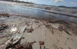 Les pays rejettent le projet de traité contre la pollution plastique à Genè…