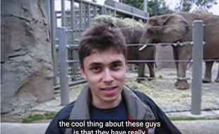 Extrait de «Me at the zoo», première vidéo sur YouTube