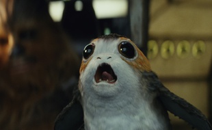Après avoir demandé à un collègue spécialiste et à Google, j'ai découvert que cette créature de «Star Wars» s'appelle un Porg.