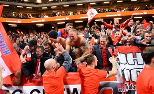 Des supporters autrichiens après un match contre la Suède le 8 septembre 2015.