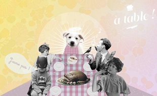 Chiens et chats se rapprochent des humains grâce à la techno