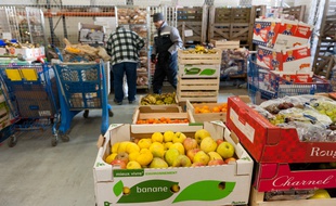 Bordeaux, 8 février 2012. - Illustration de la Banque alimentaire - Photo : Sebastien Ortola
