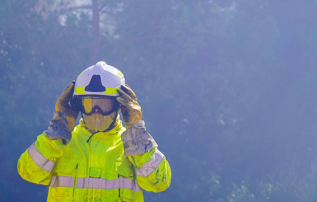 Feux de forêts : Y a-t-il de plus en plus d'incendies et d'hectares brûlés chaque année en France ?